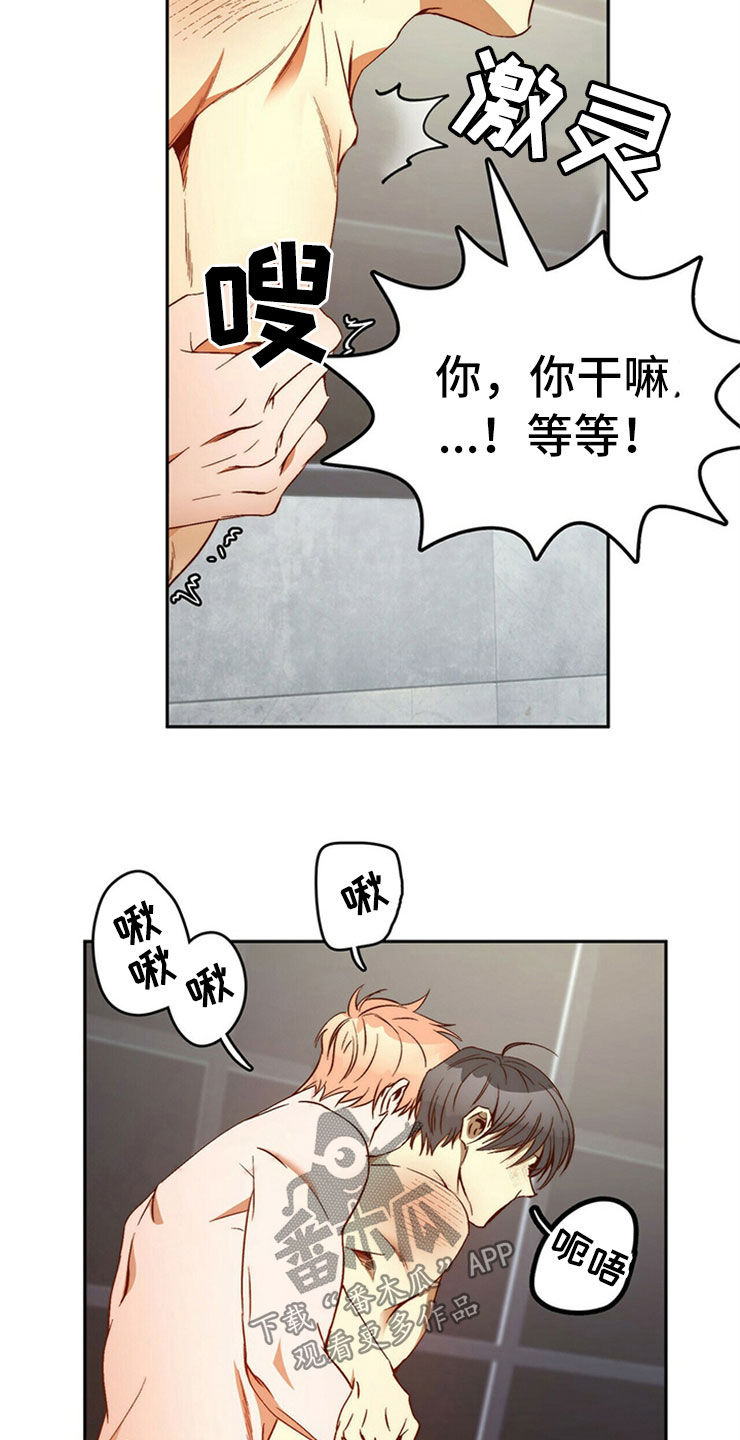 钻石神偷漫画,第29章：够了1图