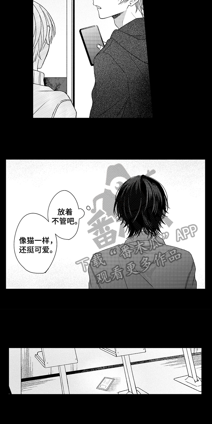 在佐仓的手掌中漫画,第20章：关注4图