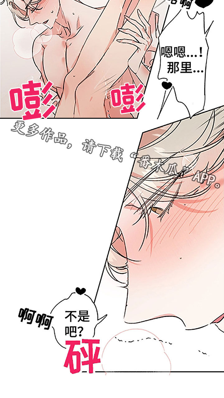 隐秘直播漫画,第53章：【番外】不是吧1图
