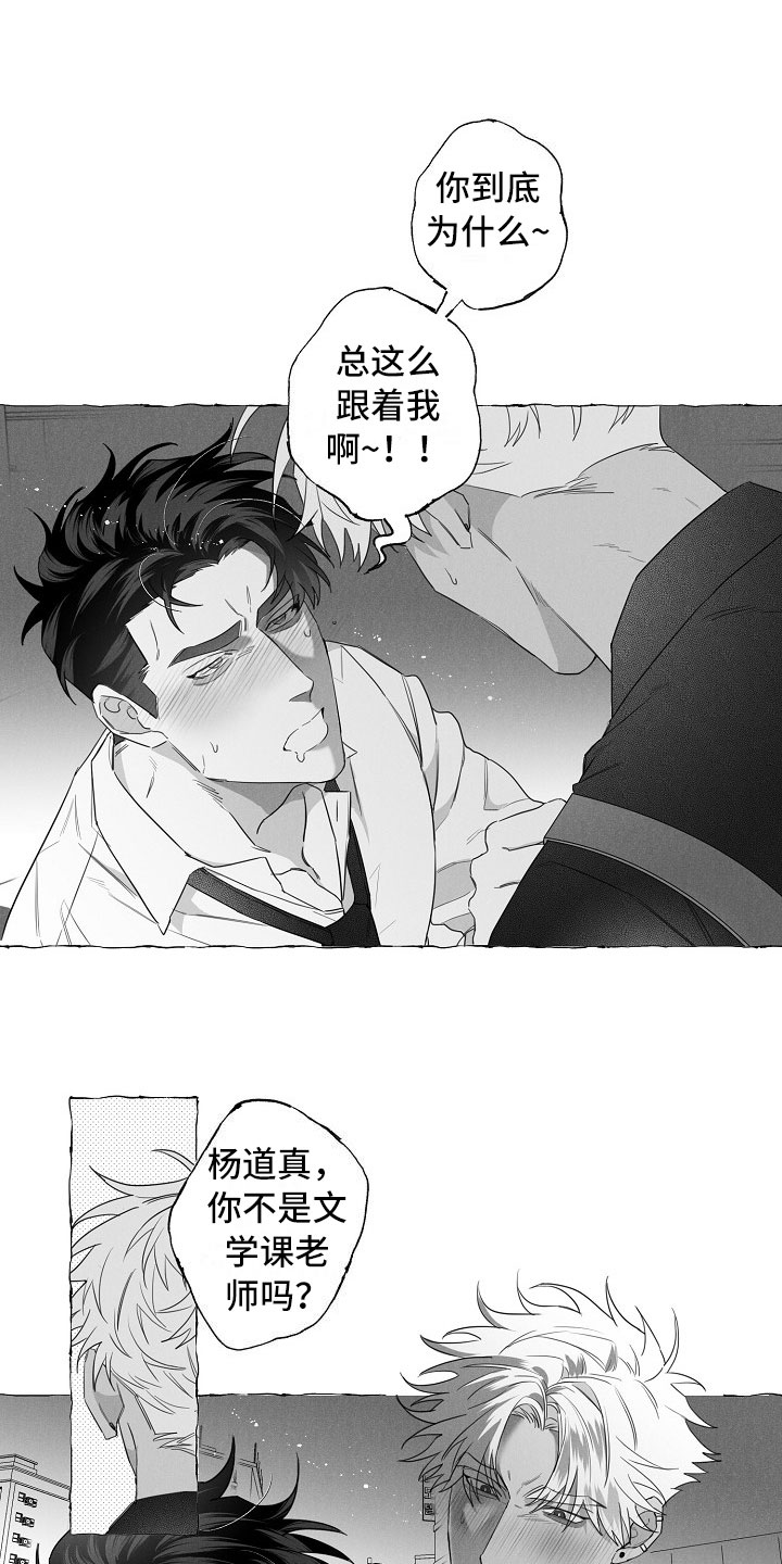 我的真心实意漫画,第4章：醉意1图