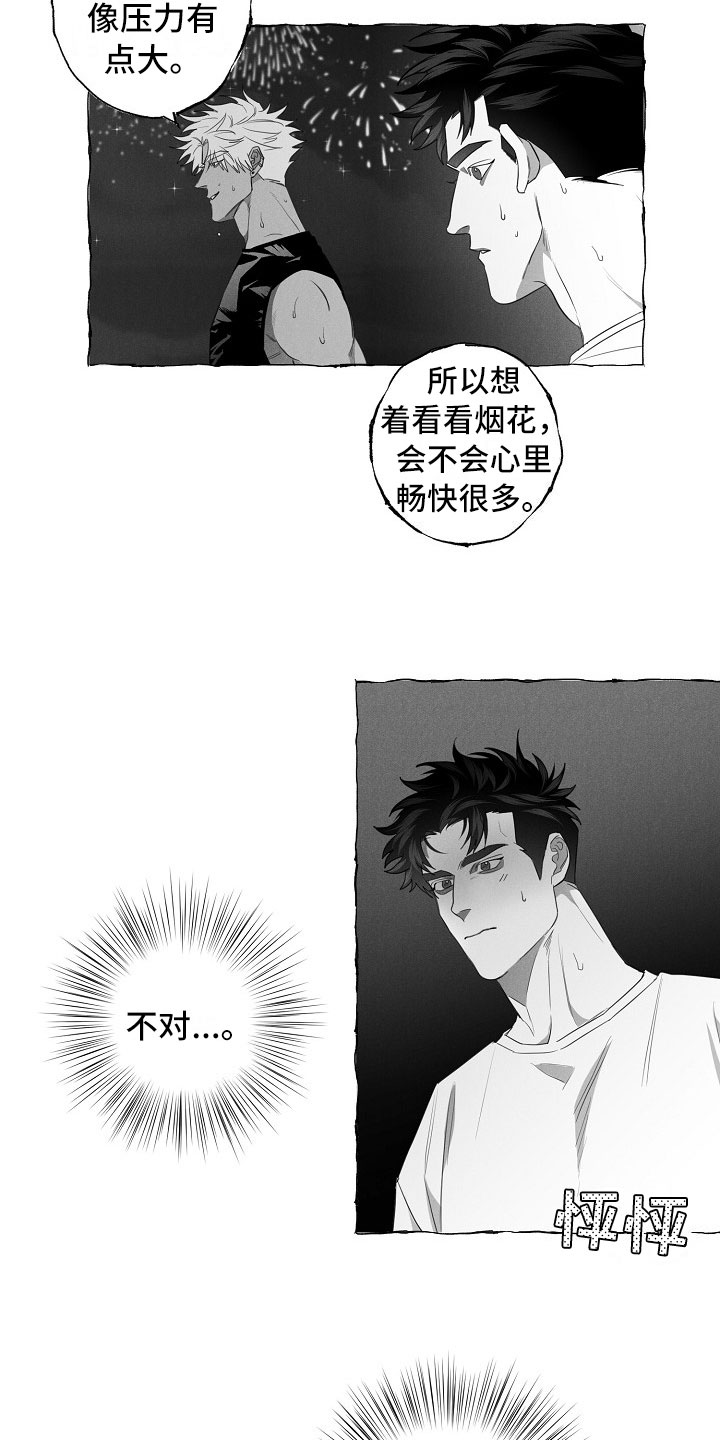 真心实意漫画,第13章：看烟花3图