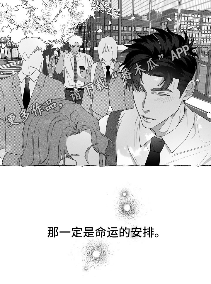 我的真心实意漫画,第11章：命运的安排5图