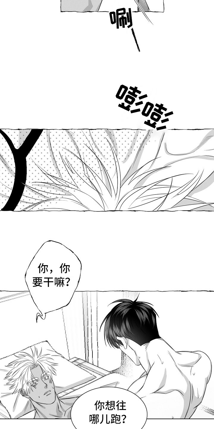 我的真心实意漫画,第29章：心有灵犀2图