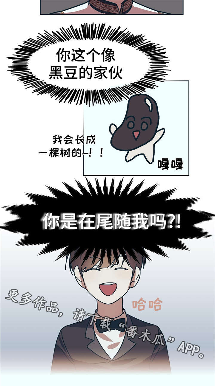 皇室战争视频漫画,第6章：变态5图