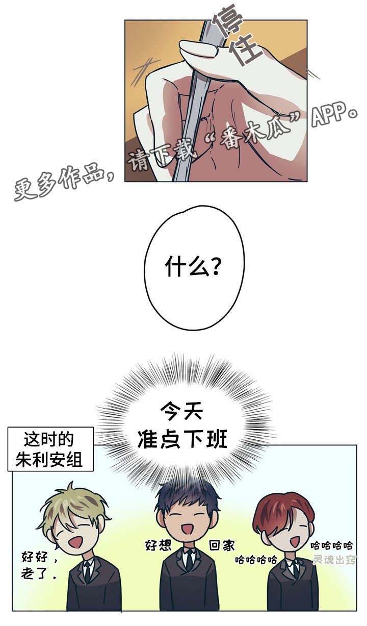 皇室童话漫画,第8章：王妃4图