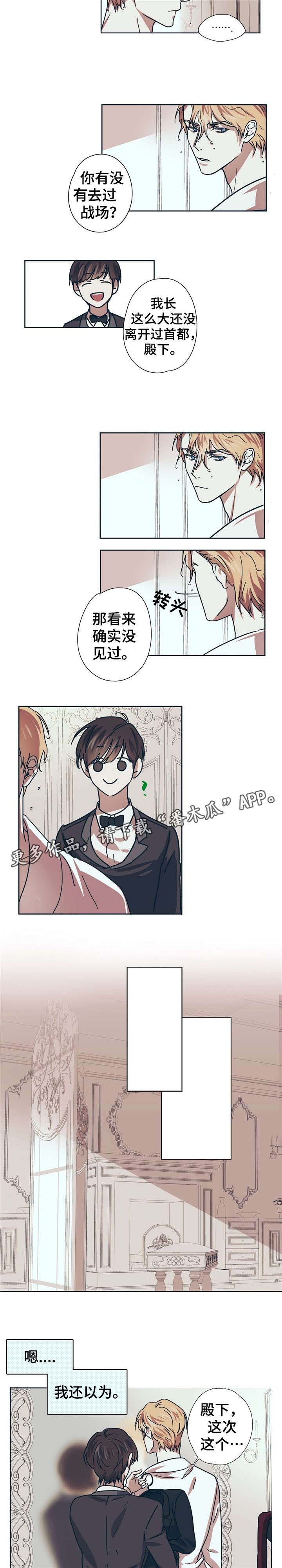 皇室战争游戏视频漫画,第5章：颜值2图