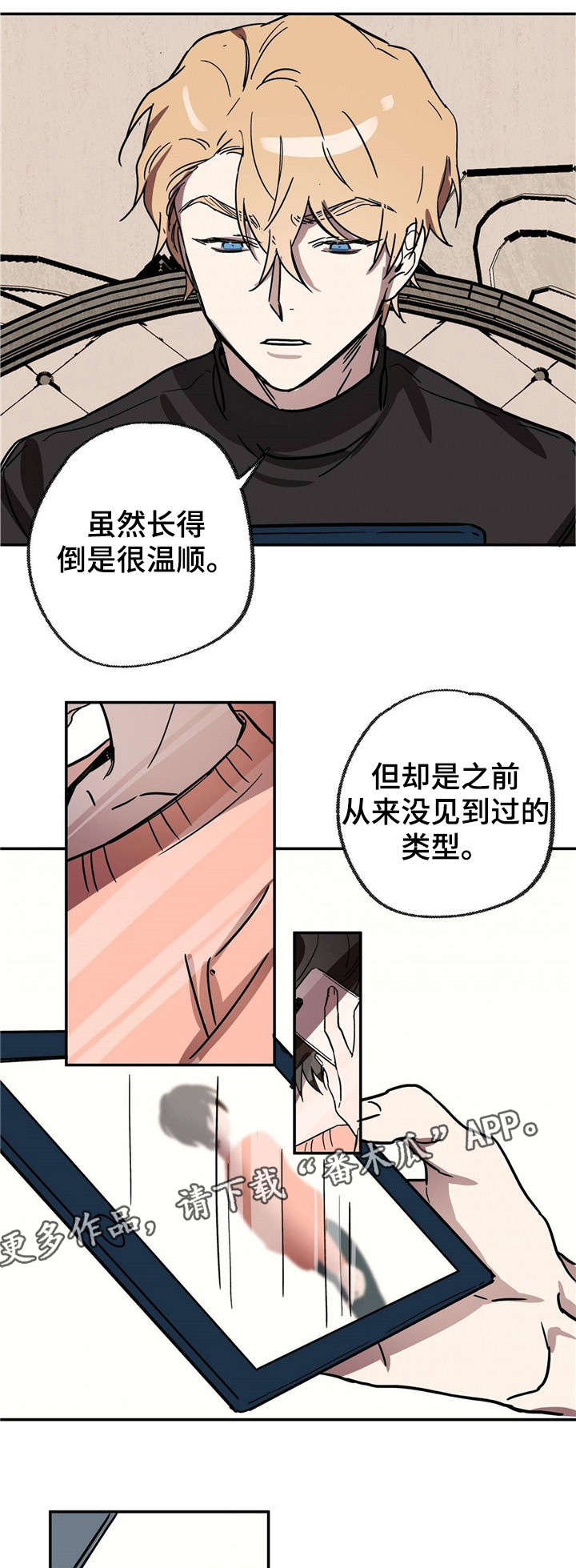 皇室童缘跑步鞋漫画,第19章：中场休息5图