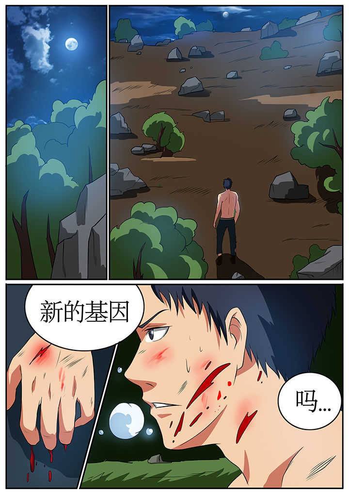 黑鸟计划漫画,第69章：3图