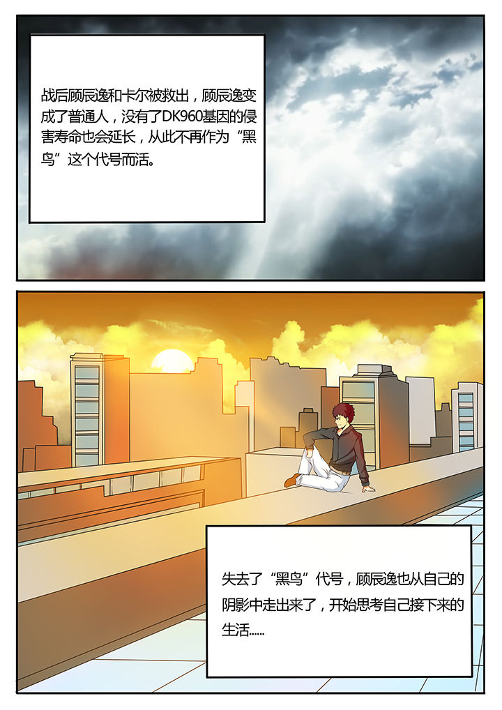 美国黑鸟计划漫画,第93章：完结2图