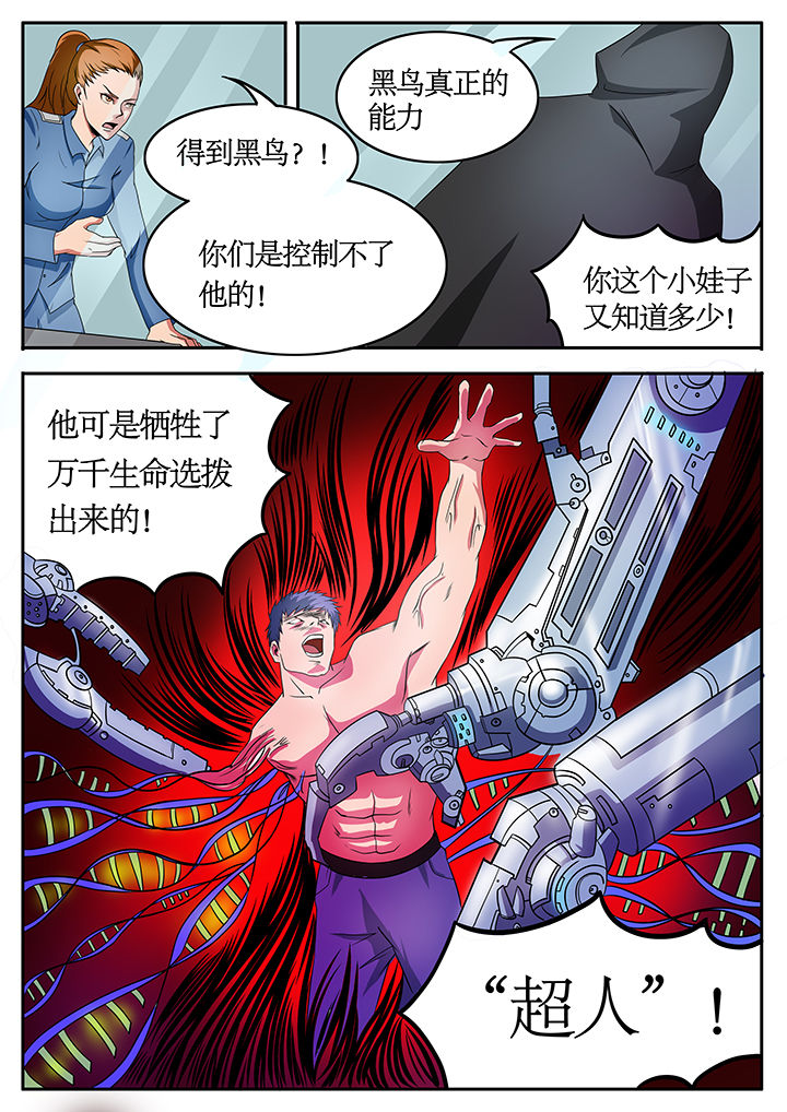 黑鸟计划漫画,第74章：3图