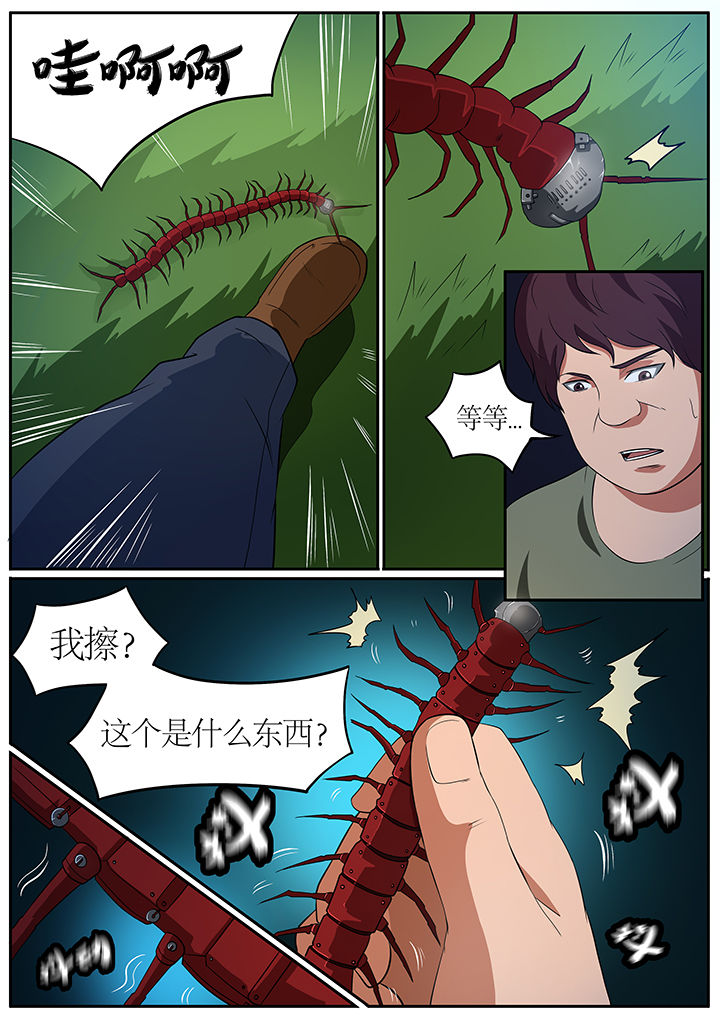 黑鸟计划漫画,第70章：2图