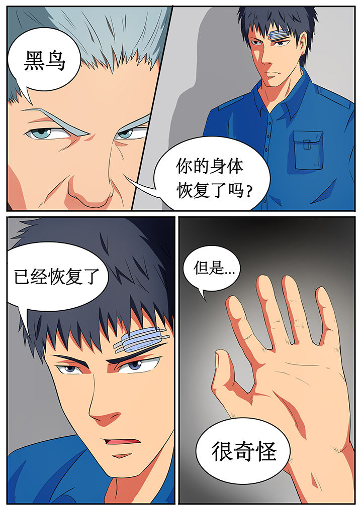 黑鸟计划漫画,第61章：3图