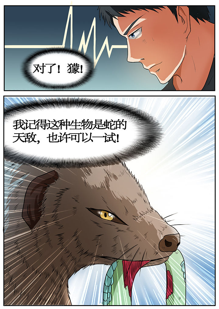 黑鸟计划漫画,第49章：5图