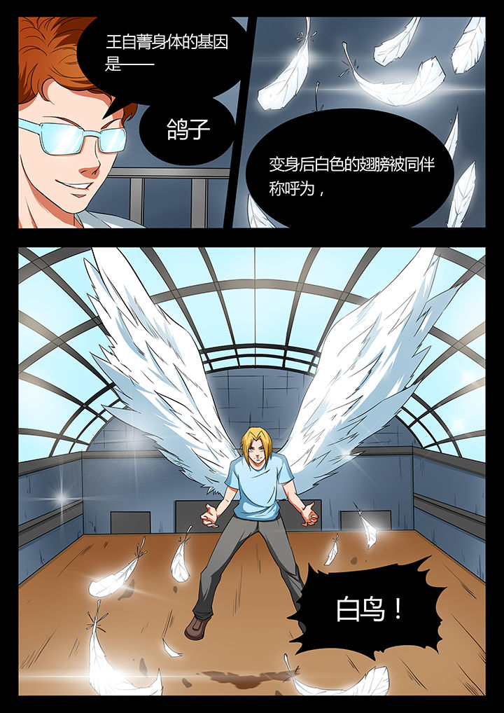 黑鸟计划漫画,第92章：5图