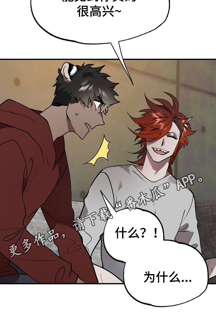 夜吻正传漫画,第13章：肉食3图