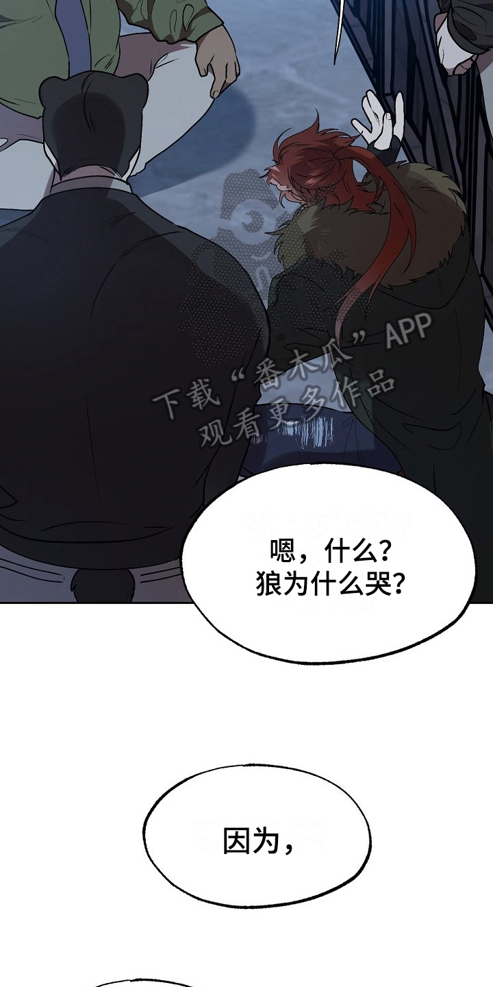 夜吻正传漫画,第8章：危险的狼2图