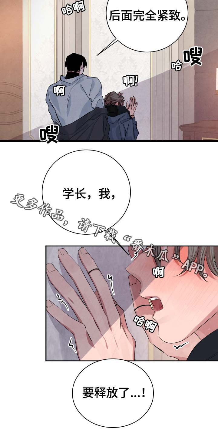 感官味道漫画,第37章：不怕受伤2图