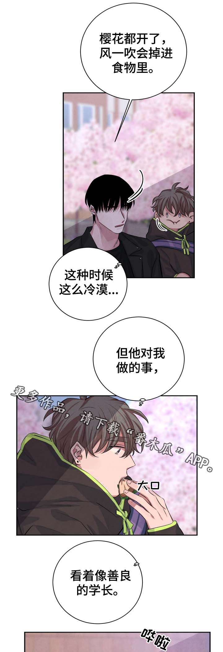 感官味道漫画,第39章：樱花4图