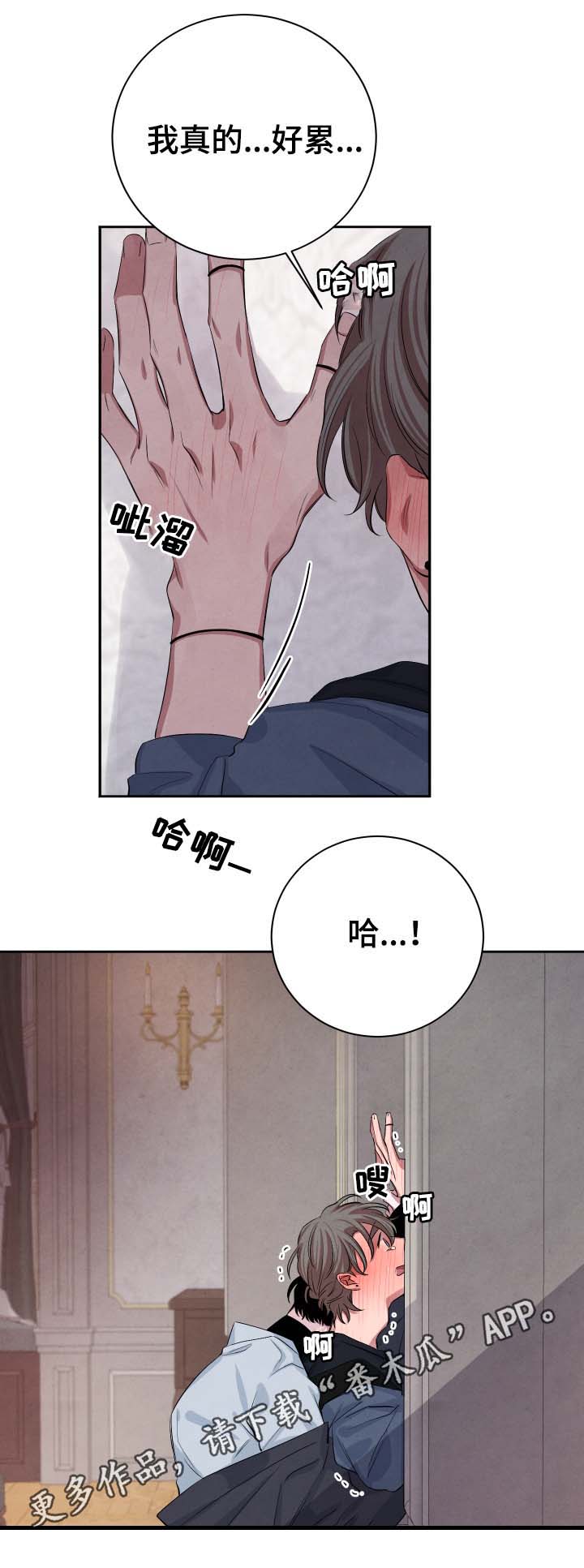 感官味道漫画,第37章：不怕受伤5图