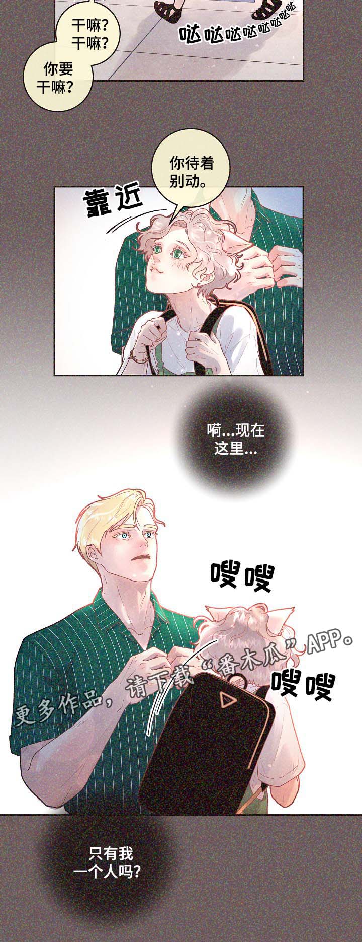 香港稳定币发行计划生变漫画,第68章：标记是什么2图
