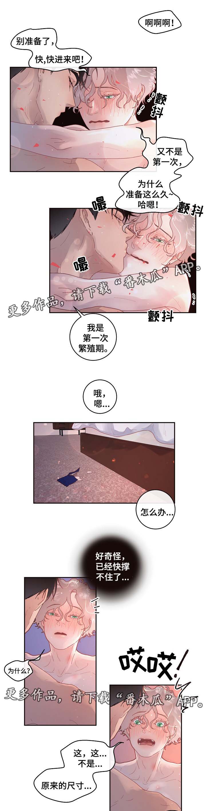 省编学号查询漫画,第72章：第一次繁殖期2图