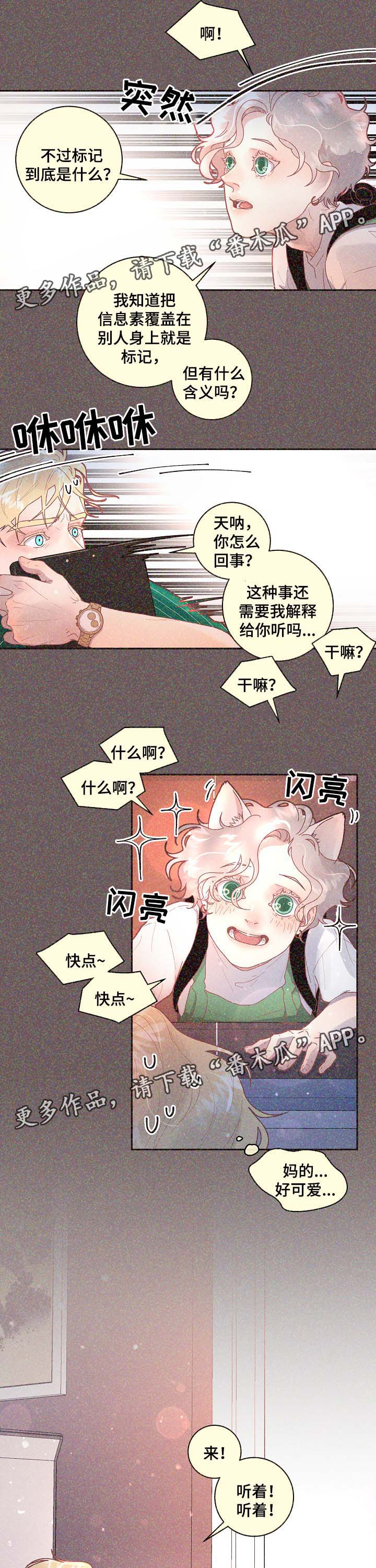 绳编教程漫画,第68章：标记是什么3图