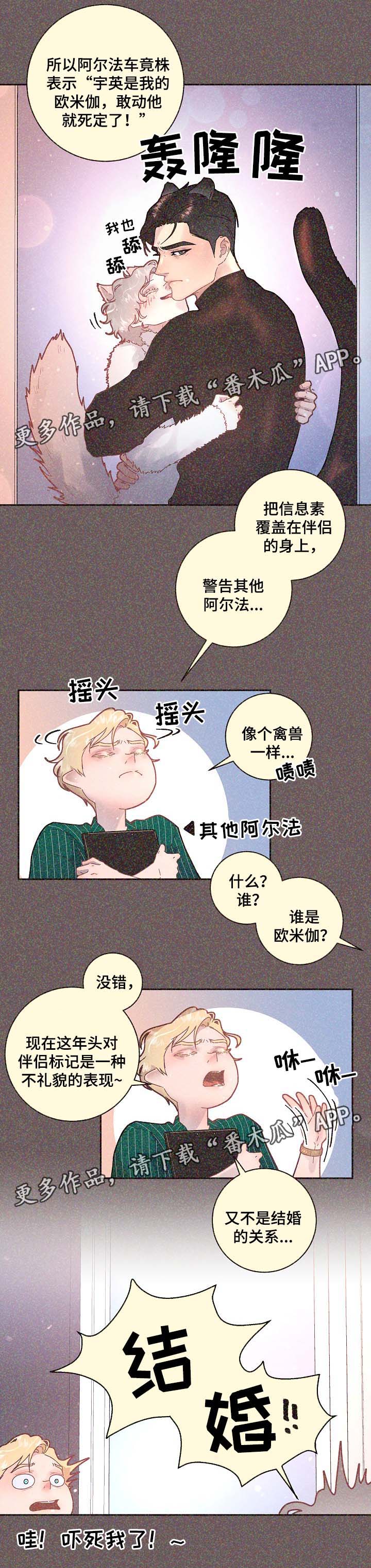 绳编教程漫画,第68章：标记是什么5图