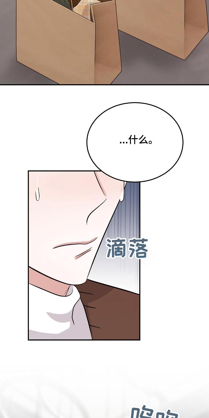 还魂之迷失曼谷啥意思漫画,第49章：打算离开2图