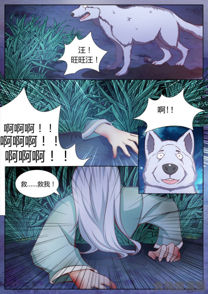 我是狐狸微博漫画,第125章：3图