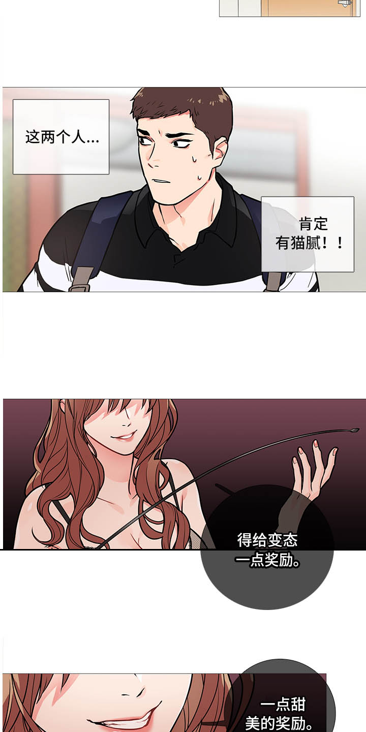 囚笼之恋漫画漫画,第19章：猫腻2图