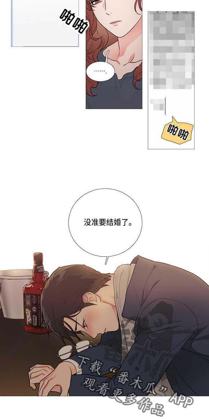 囚笼之鸟短剧漫画,第78章：疯了2图