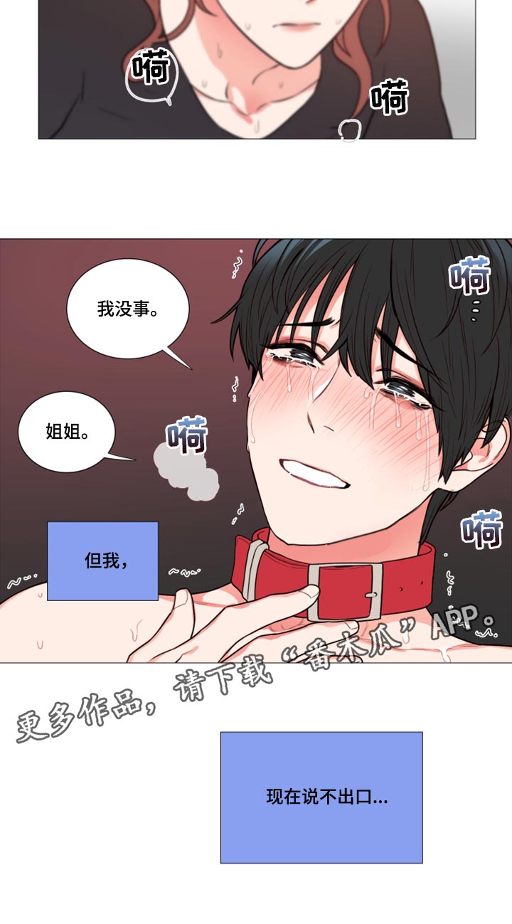 囚笼正传漫画,第101章：现在说不出口5图