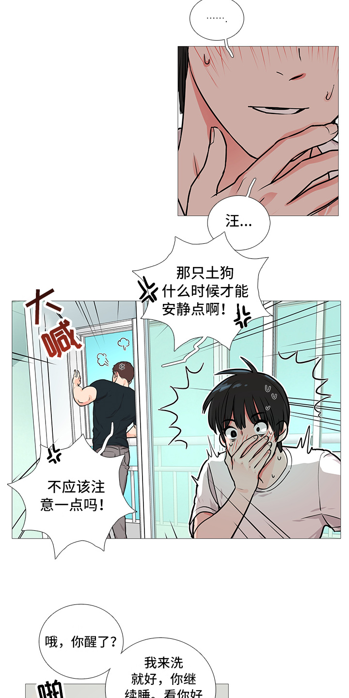 囚笼之恋漫画漫画,第19章：猫腻1图