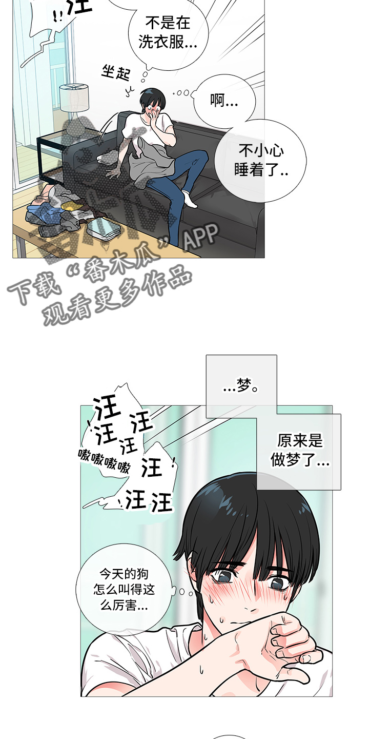 囚笼之恋漫画漫画,第19章：猫腻5图