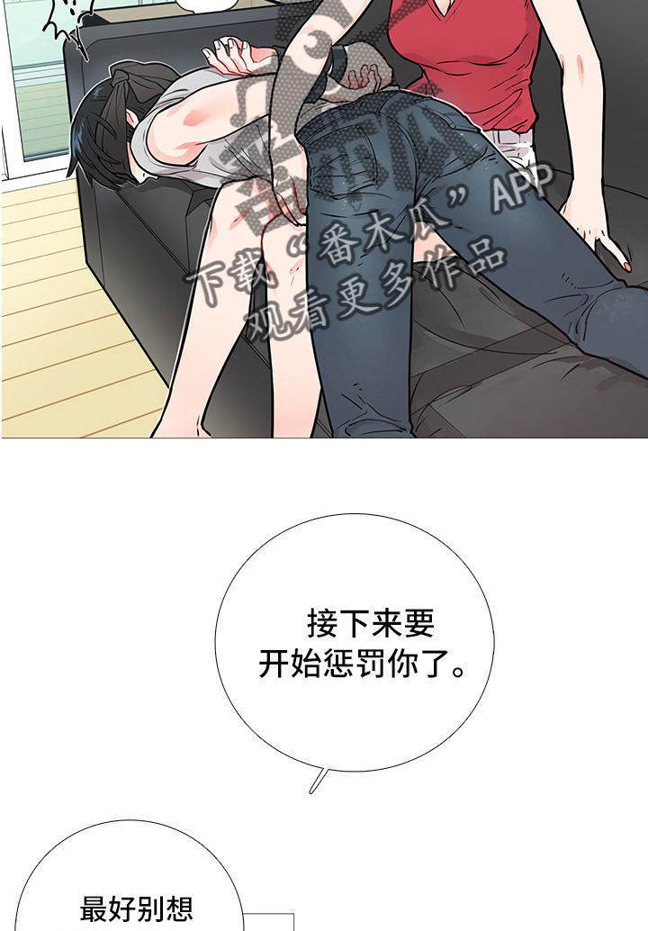 囚笼正传在番茄小说有吗漫画,第13章：开始5图