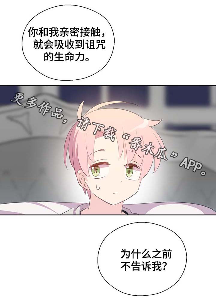 皇族封印漫画,第96章：不会再碰你1图