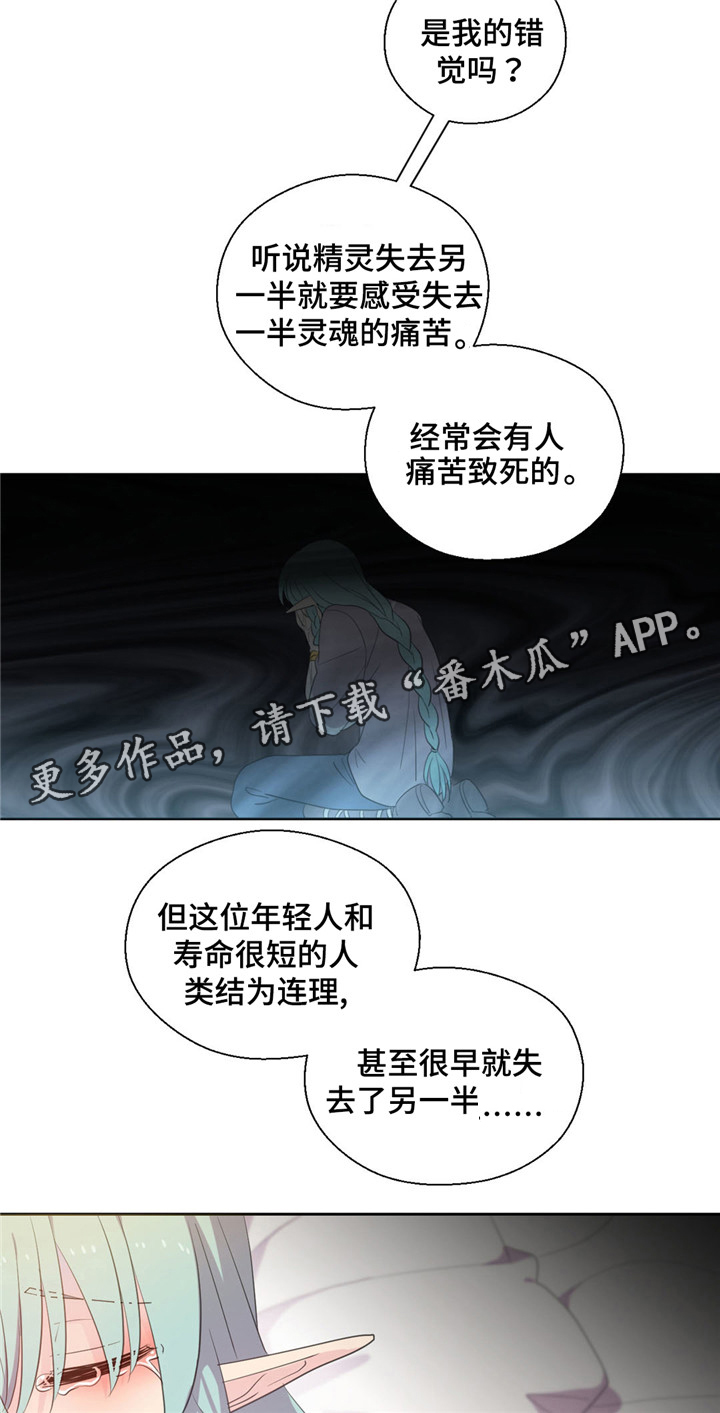 皇族封印漫画,第54章：生病的精灵3图