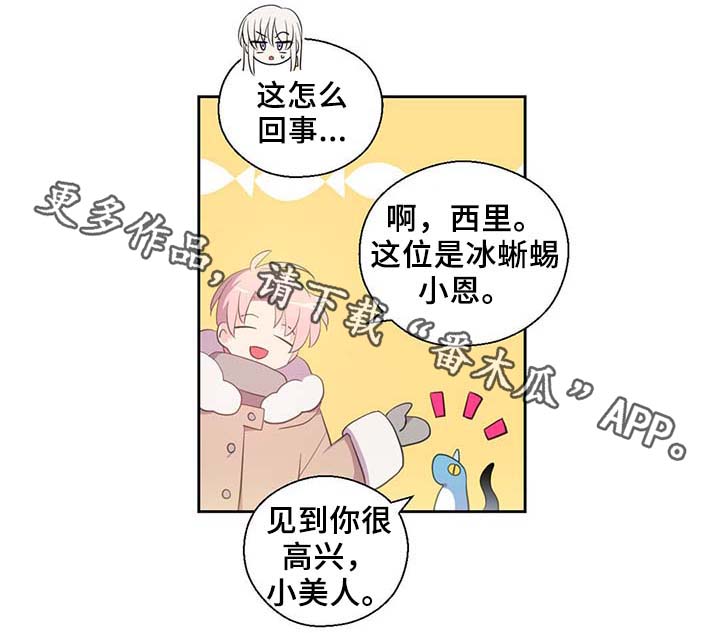 皇族封印漫画,第84章：都是因为他饿了5图