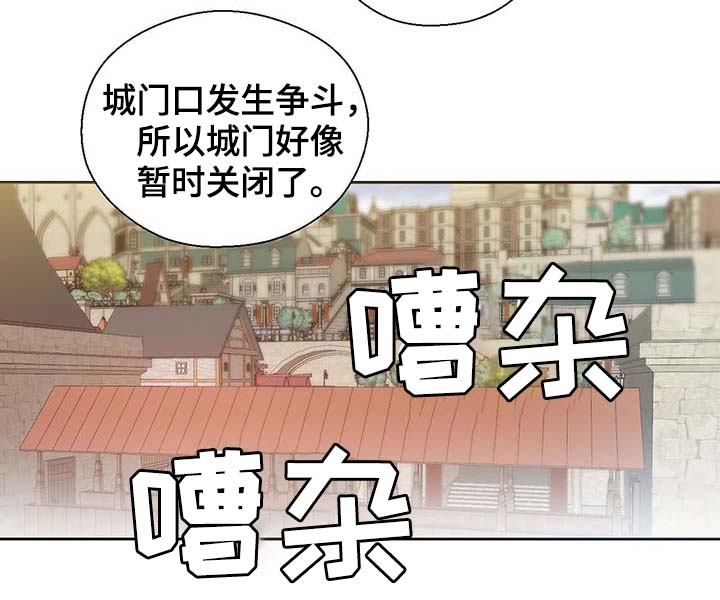 皇族封印漫画,第103章：陛下跑了2图