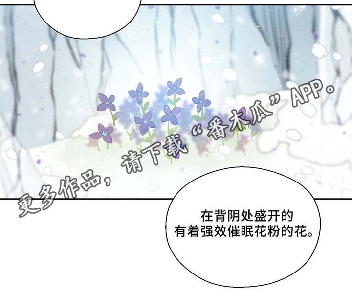 皇族封印漫画,第80章：催眠花粉1图