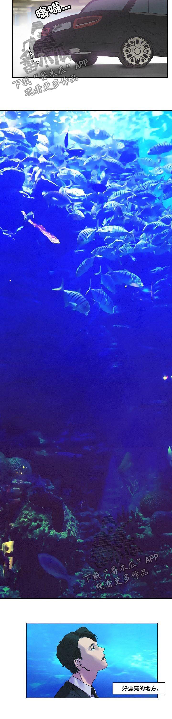 恒温都市漫画,第54章：假海5图