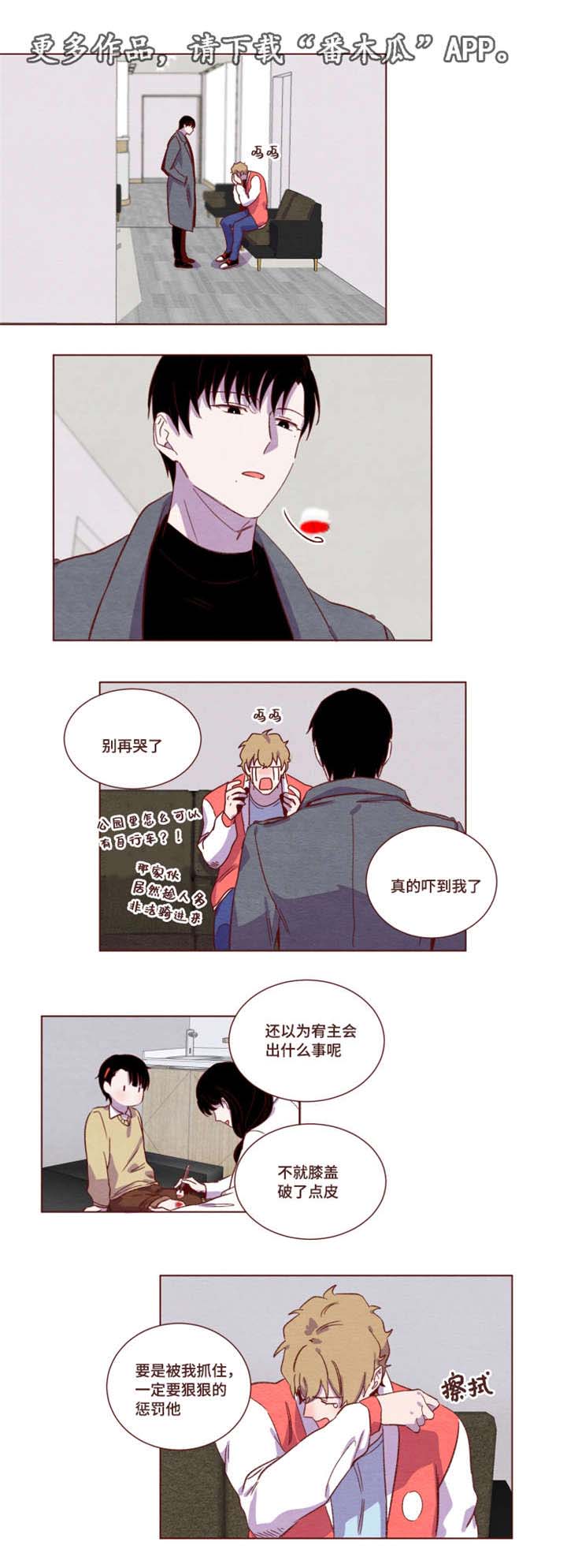 雇佣奇遇漫画,第12章：怎么惩罚1图
