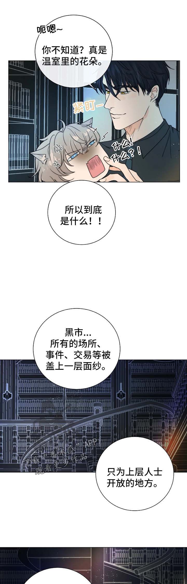 荒野的召唤狩猎目标漫画,第35章：账本4图