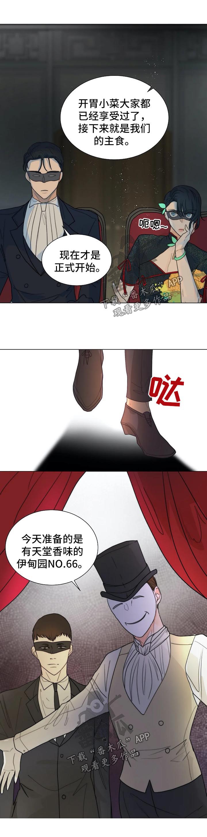 目标狩猎漫画,第37章：黑暗拍卖会1图