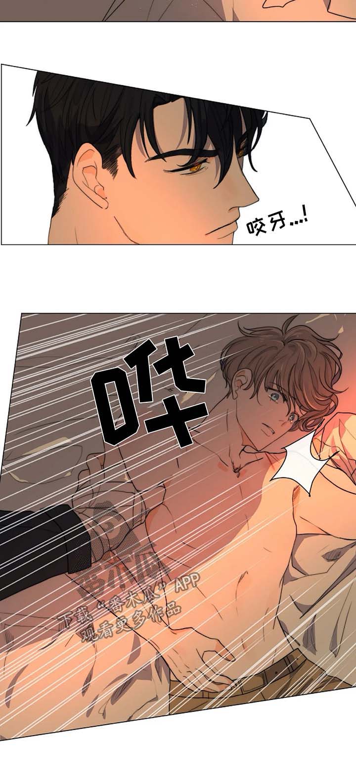 目标狩猎漫画,第21章：木偶3图