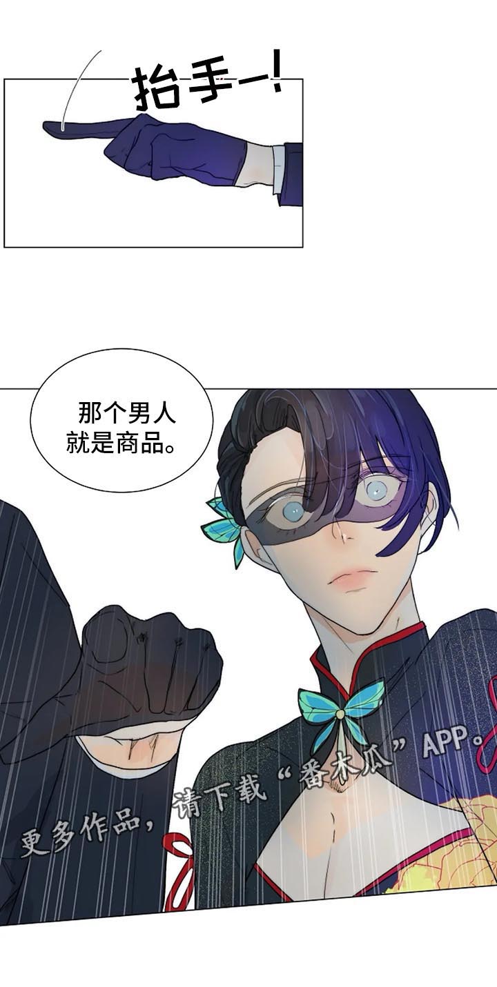 目标狩猎漫画,第37章：黑暗拍卖会4图