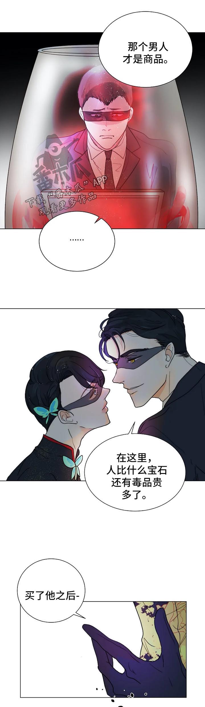 目的组词漫画,第37章：黑暗拍卖会1图