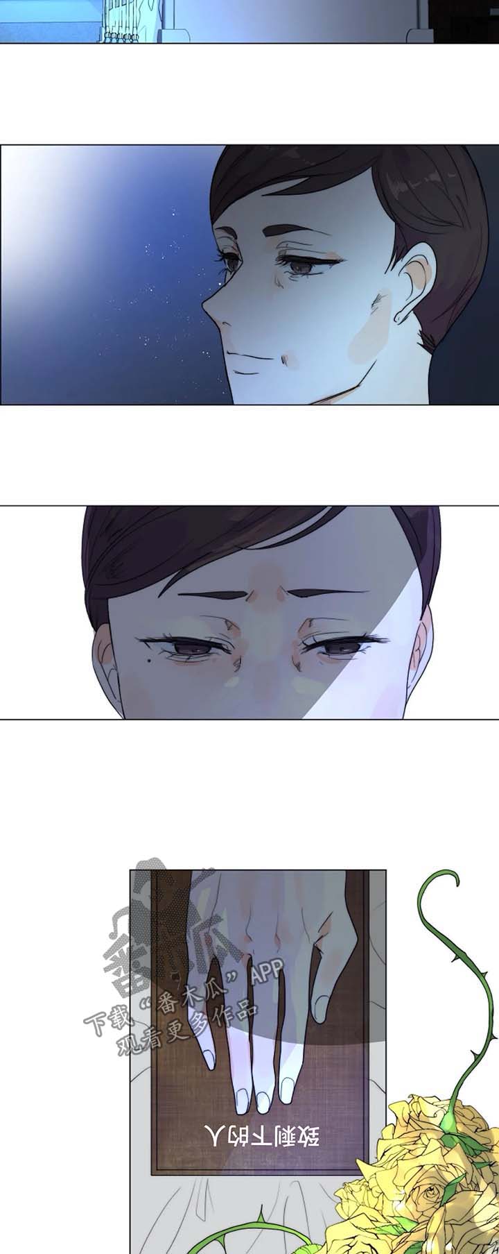 海贼王夜袭计划的狩猎目标漫画,第29章：未知的结局3图