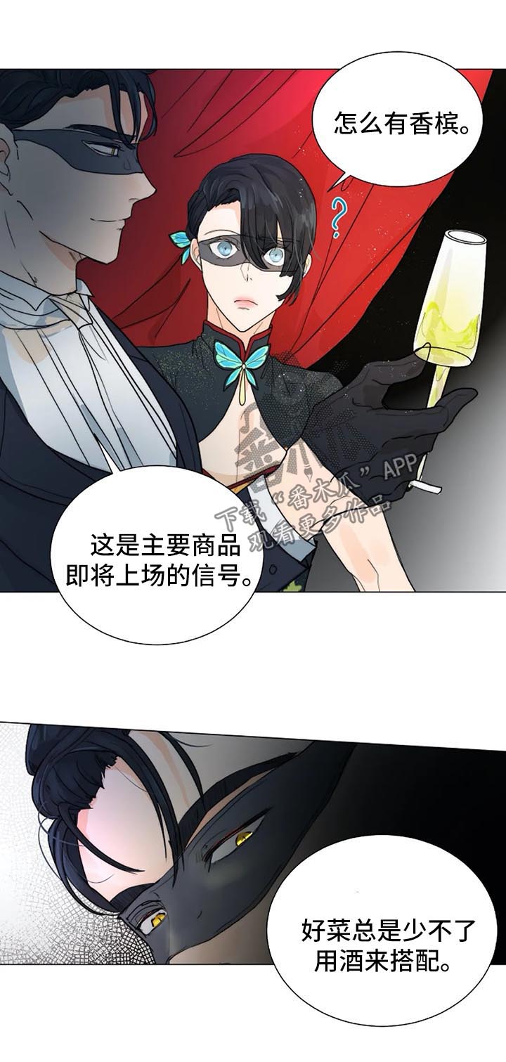 目标狩猎漫画,第37章：黑暗拍卖会5图