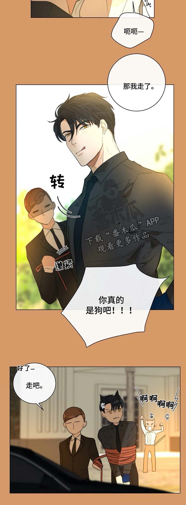 目标狩猎漫画,第19章：去医院1图